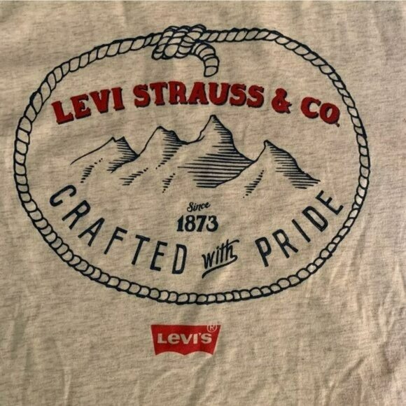 Levi Strauss boys short sleeve t-shirt in gray -L - Picture 2 of 7